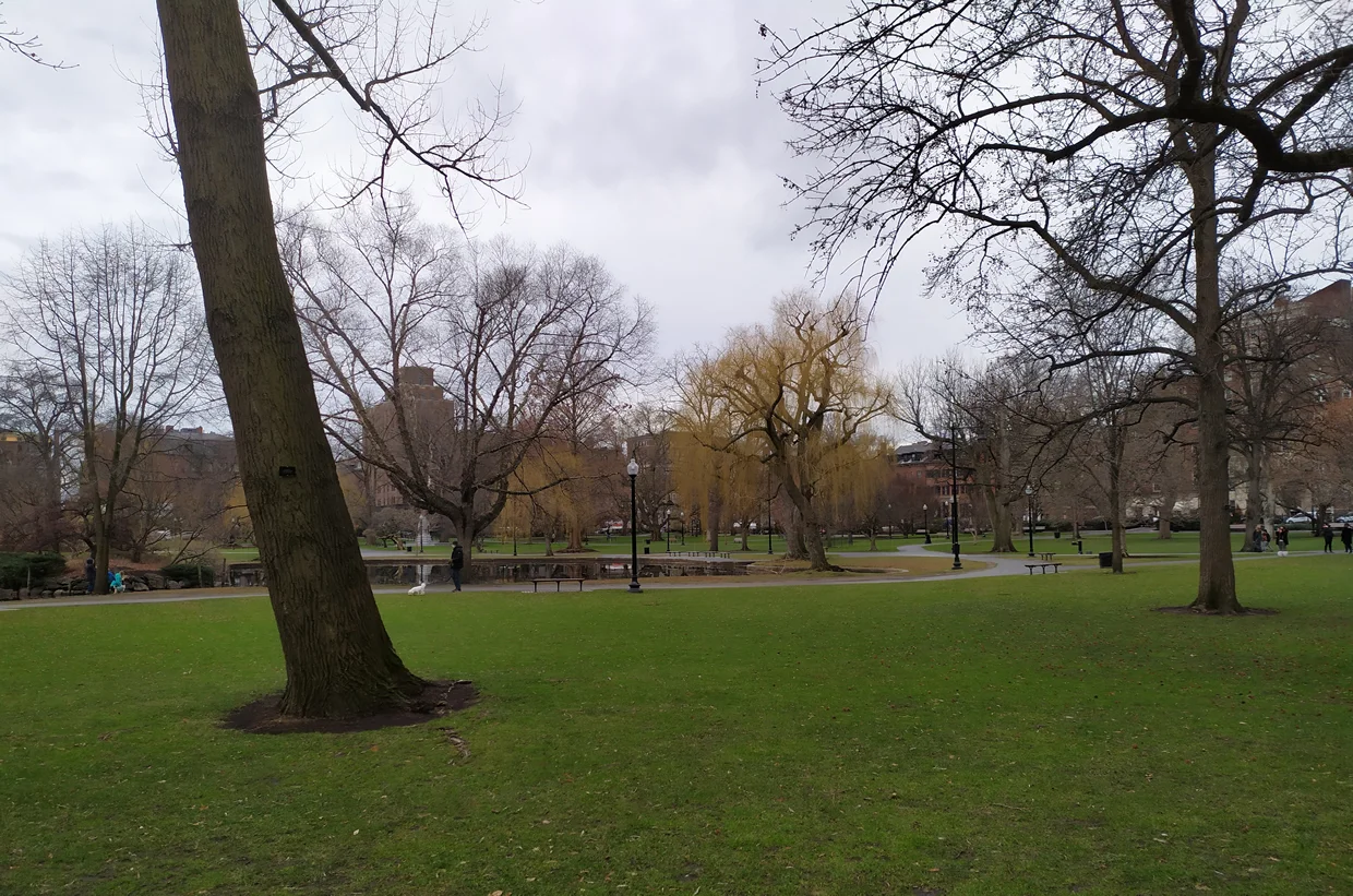 Parque Boston Common