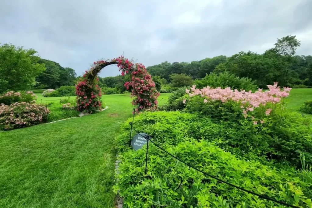 Actividades al aire libre en Boston