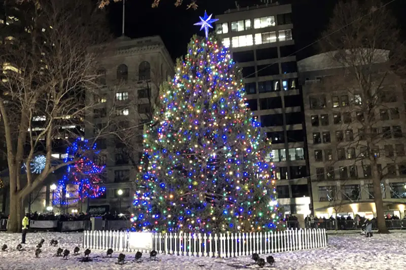 Foto del árbol de Navidad de Boston Common